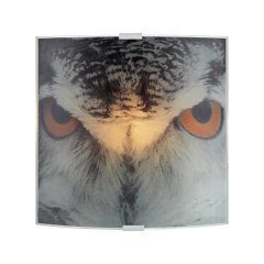 Lampa ścienna OWL 105242 Markslojd